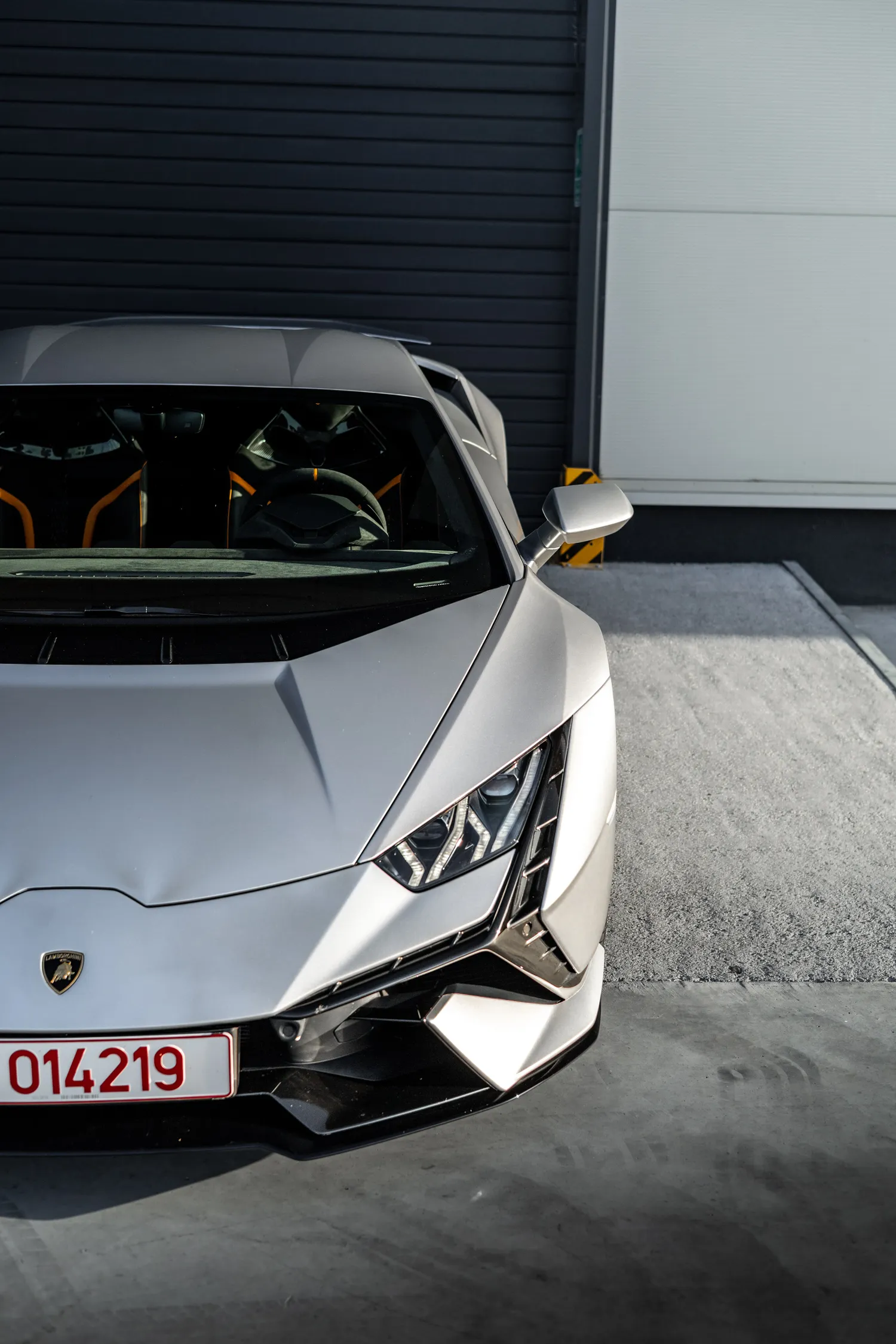Portret frontal